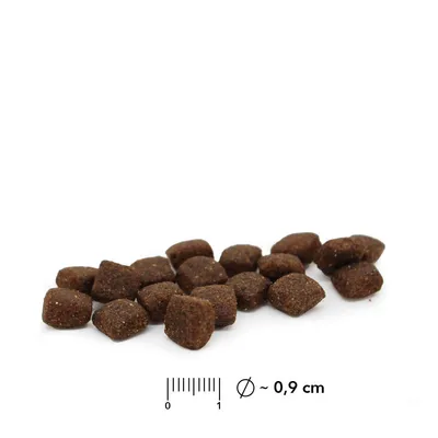 entoVITAL DOG HYPOALLERGENIC pour chiens