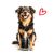 entoVITAL DOG SENSITIV nourriture humide