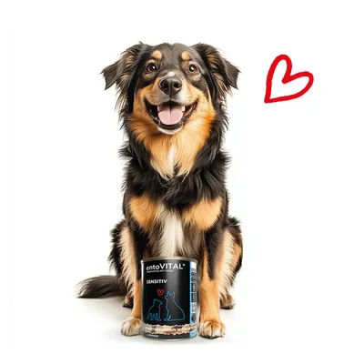 entoVITAL DOG SENSITIV nourriture humide