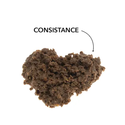 entoVITAL DOG SENSITIV nourriture humide