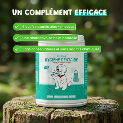 Museau & Co | Hygiène Dentaire | Anti-Tartre Naturel | Chien & Chat Museau & Co | Hygiène Dentaire | Anti-Tartre Naturel | Chien & Chat