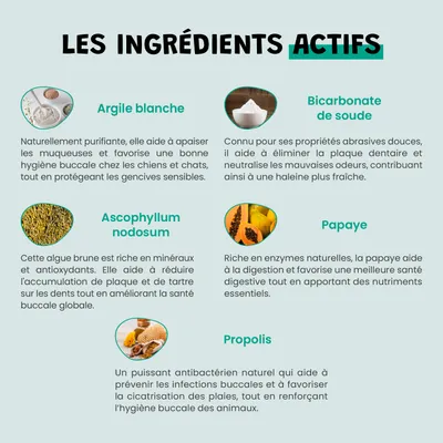 Dental Clean - Anti-Tartre - Haleine Fraîche - Gencives - Chien Chat - 100g