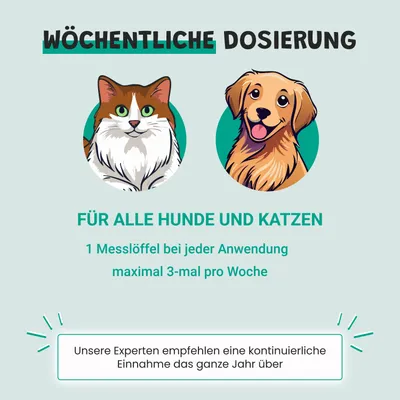 Museau & Co | Zahnpflege | Natürlich gegen Zahnstein | Hund & Katze Museau & Co | Zahnpflege | Natürlich gegen Zahnstein | Hund & Katze