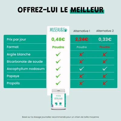 Dental Clean - Anti-Tartre - Haleine Fraîche - Gencives - Chien Chat - 100g