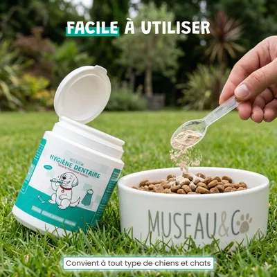 Museau & Co | Hygiène Dentaire | Anti-Tartre Naturel | Chien & Chat Museau & Co | Hygiène Dentaire | Anti-Tartre Naturel | Chien & Chat