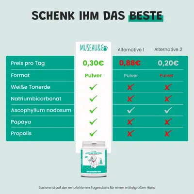 Museau & Co | Zahnpflege | Natürlich gegen Zahnstein | Hund & Katze Museau & Co | Zahnpflege | Natürlich gegen Zahnstein | Hund & Katze