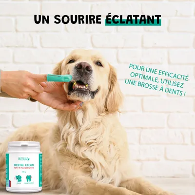 Dental Clean - Anti-Tartre - Haleine Fraîche - Gencives - Chien Chat - 100g