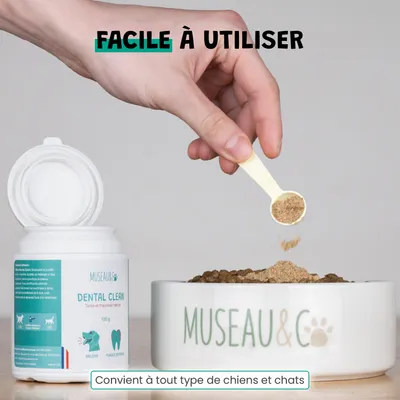 Dental Clean - Anti-Tartre - Haleine Fraîche - Gencives - Chien Chat - 100g