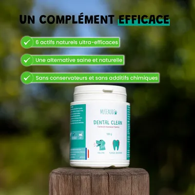 Dental Clean - Anti-Tartre - Haleine Fraîche - Gencives - Chien Chat - 100g