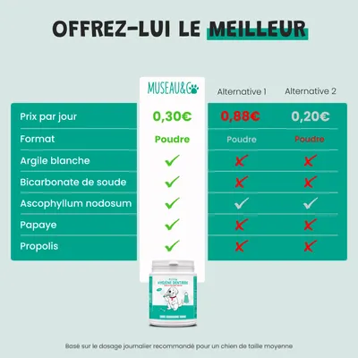 Museau & Co | Hygiène Dentaire | Anti-Tartre Naturel | Chien & Chat Museau & Co | Hygiène Dentaire | Anti-Tartre Naturel | Chien & Chat