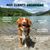 Dental Clean - Anti-Tartre - Haleine Fraîche - Gencives - Chien Chat - 100g