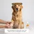 Museau & Co | Kolloidales Silber | Natürliches Antiseptikum | Hund & Katze Museau & Co | Kolloidales Silber | Natürliches Antiseptikum | Hund & Katze