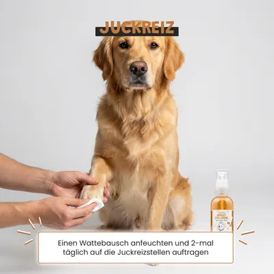 Museau & Co | Kolloidales Silber | Natürliches Antiseptikum | Hund & Katze Museau & Co | Kolloidales Silber | Natürliches Antiseptikum | Hund & Katze
