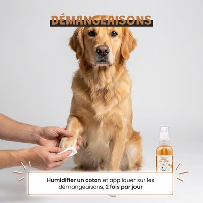 Museau & Co | Argent Colloïdal | Antiseptique Naturel | Chien & Chat