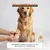 Museau & Co | Kolloidales Silber | Natürliches Antiseptikum | Hund & Katze Museau & Co | Kolloidales Silber | Natürliches Antiseptikum | Hund & Katze