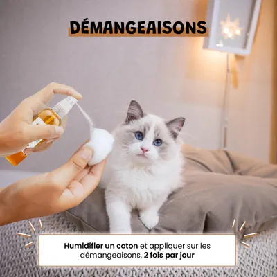 Argent Colloïdal 20ppm - Cicatrisant - Antibactérien - Chien & Chat - 100ml