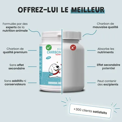 Museau & Co | Charbon Végétal Actif | Détox & Digestion | Chien & Chat Museau & Co | Charbon Végétal Actif | Détox & Digestion | Chien & Chat