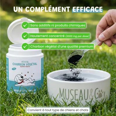 Museau & Co | Charbon Végétal Actif | Détox & Digestion | Chien & Chat Museau & Co | Charbon Végétal Actif | Détox & Digestion | Chien & Chat