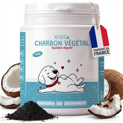 Museau & Co | Charbon Végétal Actif | Détox & Digestion | Chien & Chat Poudre 100g – Purifiant intestinal naturel ⚫
