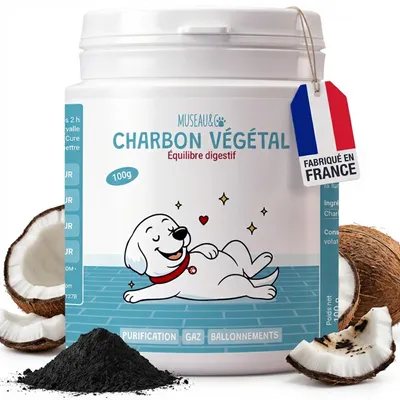Museau & Co | Charbon Végétal Actif | Détox & Digestion | Chien & Chat Museau & Co | Charbon Végétal Actif | Détox & Digestion | Chien & Chat