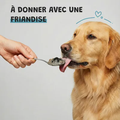 Museau & Co | Charbon Végétal Actif | Détox & Digestion | Chien & Chat Museau & Co | Charbon Végétal Actif | Détox & Digestion | Chien & Chat