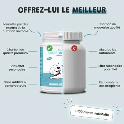 Museau & Co | Charbon Végétal Actif | Détox & Digestion | Chien & Chat