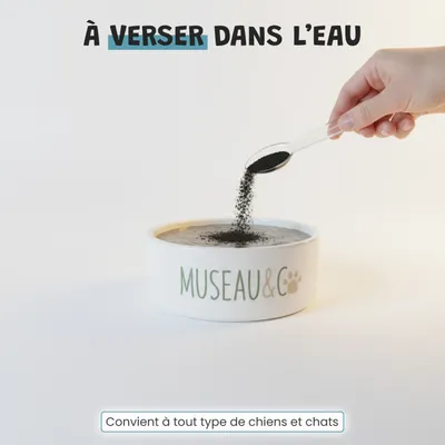 Museau & Co | Charbon Végétal Actif | Détox & Digestion | Chien & Chat Museau & Co | Charbon Végétal Actif | Détox & Digestion | Chien & Chat
