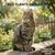 Museau & Co | Charbon Végétal Actif | Détox & Digestion | Chien & Chat