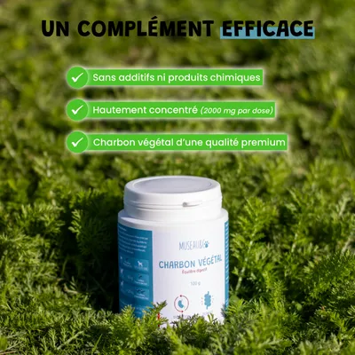 Charbon végétal - Digestion - Purification - Anti-Gaz - Chien & Chat - 100g