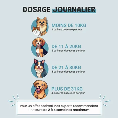 Museau & Co | Charbon Végétal Actif | Détox & Digestion | Chien & Chat Museau & Co | Charbon Végétal Actif | Détox & Digestion | Chien & Chat