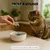 Charbon végétal - Digestion - Purification - Anti-Gaz - Chien & Chat - 100g