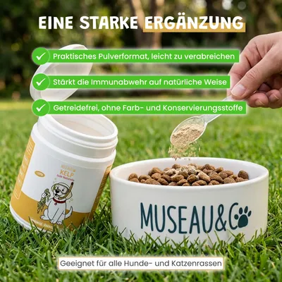 Museau & Co | Kelp | Meeresalge für Vitalität | Hund & Katze Museau & Co | Kelp | Meeresalge für Vitalität | Hund & Katze