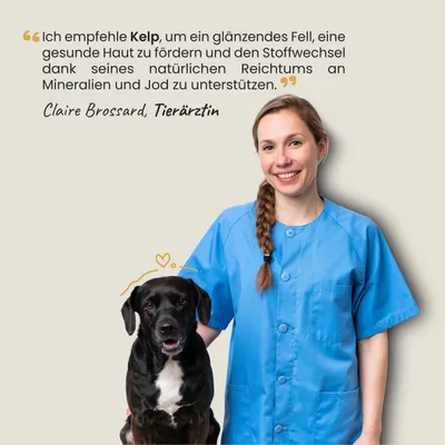 Museau & Co | Kelp | Meeresalge für Vitalität | Hund & Katze Museau & Co | Kelp | Meeresalge für Vitalität | Hund & Katze