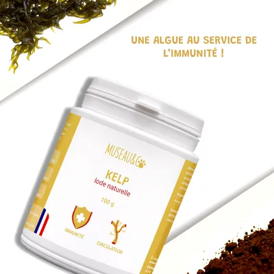 Kelp - Immunité - Système Immunitaire - Iode Naturel - Chien et Chat - 100g