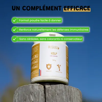 Kelp - Immunité - Système Immunitaire - Iode Naturel - Chien et Chat - 100g