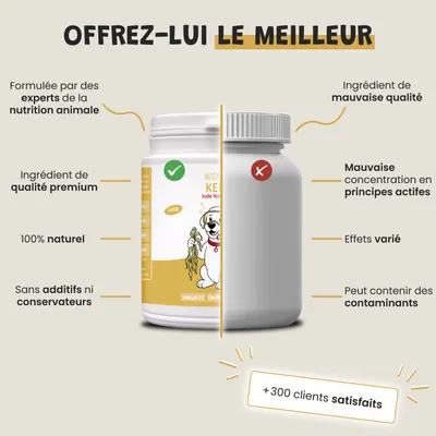 Museau & Co | Kelp | Meeresalge für Vitalität | Hund & Katze Museau & Co | Kelp | Meeresalge für Vitalität | Hund & Katze