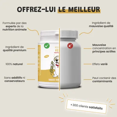 Museau & Co | Kelp | Algue Marine Vitalité | Chien & Chat