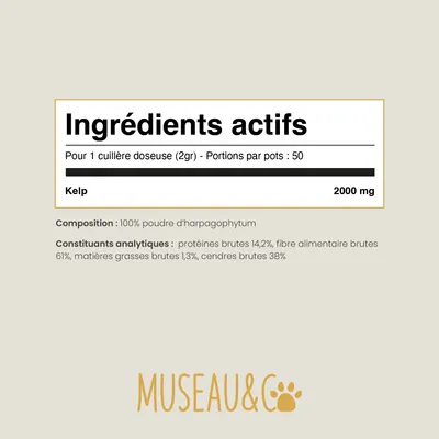 Kelp - Immunité - Système Immunitaire - Iode Naturel - Chien et Chat - 100g