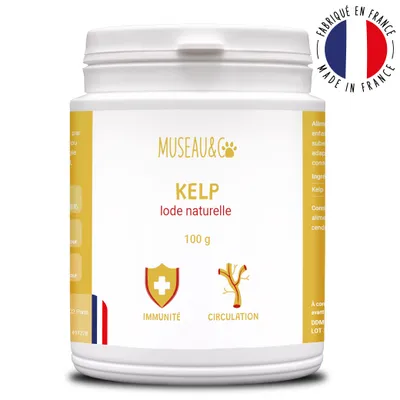 Kelp - Immunité - Système Immunitaire - Iode Naturel - Chien et Chat - 100g Kelp - Immunité - Système Immunitaire - Iode Naturel - Chien et Chat - 100g