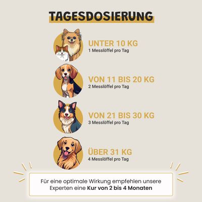 Museau & Co | Kelp | Meeresalge für Vitalität | Hund & Katze