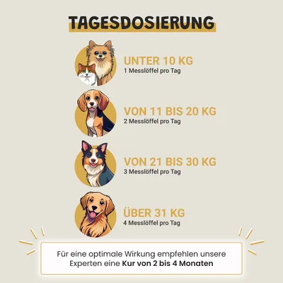 Museau & Co | Kelp | Meeresalge für Vitalität | Hund & Katze Museau & Co | Kelp | Meeresalge für Vitalität | Hund & Katze