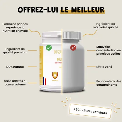 Kelp - Immunité - Système Immunitaire - Iode Naturel - Chien et Chat - 100g