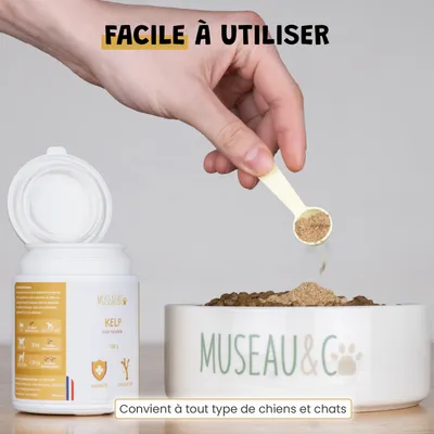 Kelp - Immunité - Système Immunitaire - Iode Naturel - Chien et Chat - 100g