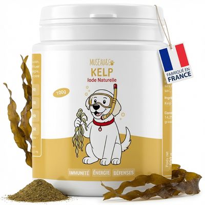 Kelp - Immunité - Système Immunitaire - Iode Naturel - Chien et Chat - 100g