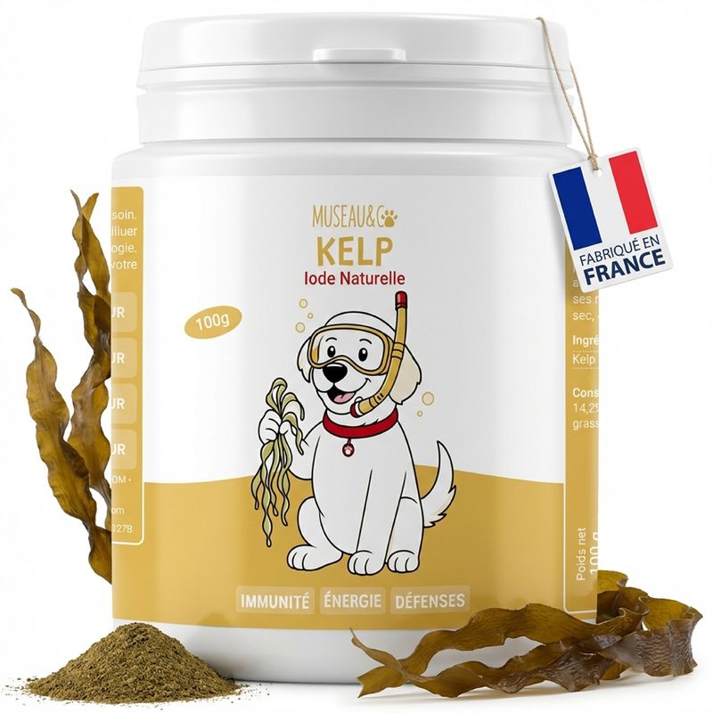 Museau & Co | Kelp | Meeresalge für Vitalität | Hund & Katze