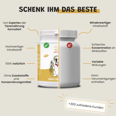 Museau & Co | Kelp | Meeresalge für Vitalität | Hund & Katze Museau & Co | Kelp | Meeresalge für Vitalität | Hund & Katze