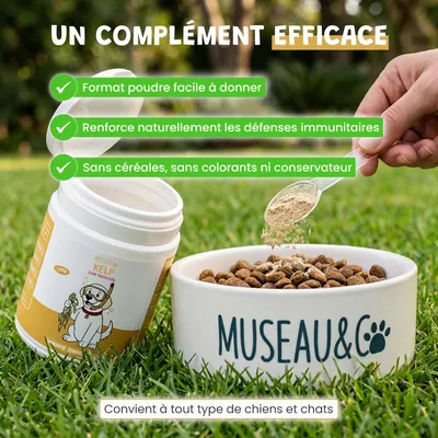 Museau & Co | Kelp | Meeresalge für Vitalität | Hund & Katze Museau & Co | Kelp | Meeresalge für Vitalität | Hund & Katze