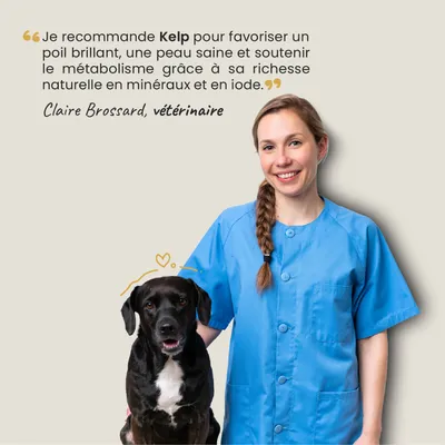 Museau & Co | Kelp | Algue Marine Vitalité | Chien & Chat