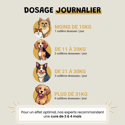 Kelp - Immunité - Système Immunitaire - Iode Naturel - Chien et Chat - 100g