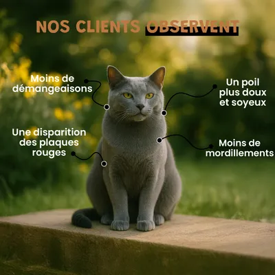 Levure De Bière - Vitamines B - Poil - Peau Saine - Chien et Chat - 100g